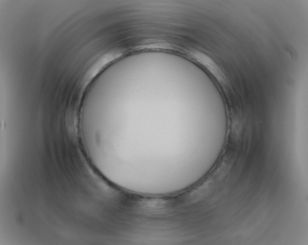 X0000114061282200910191453