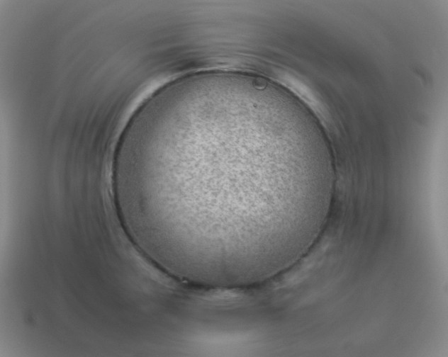 X0000114061283200910191453