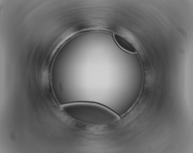 X0000114061284200910191453