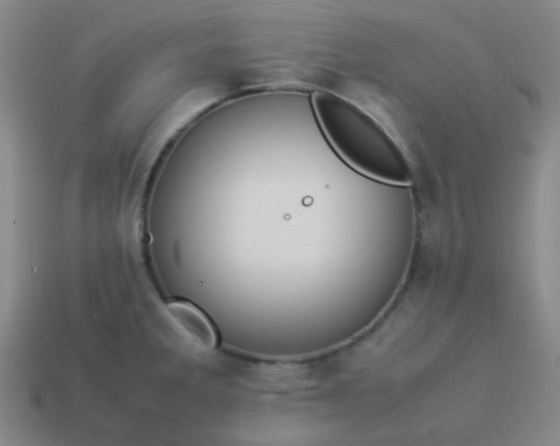 X0000114061285200910191453