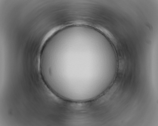 X0000114061286200910191453