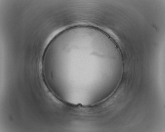 X0000114061287200910191453