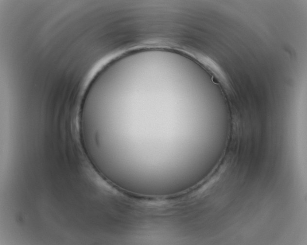 X0000114061288200910191453