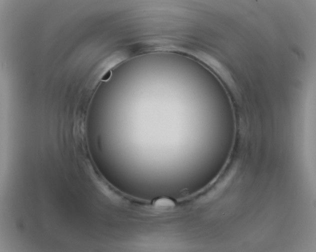 X0000114061289200910191453