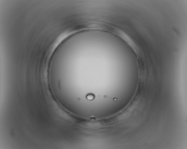 X0000114061291200910191453