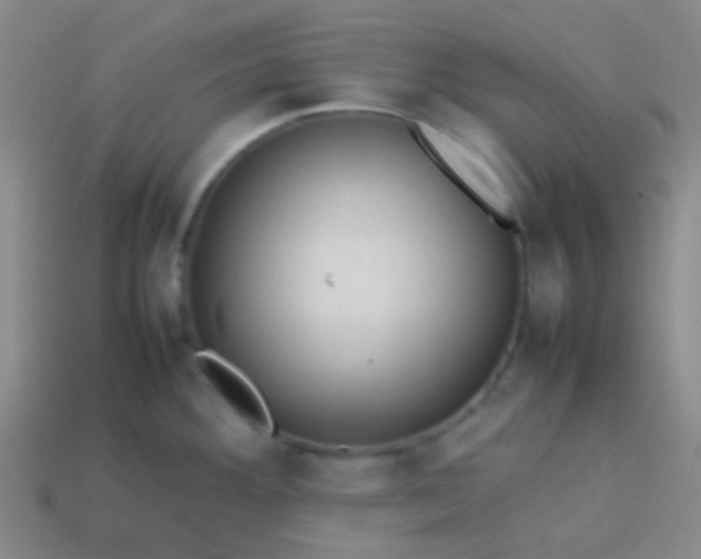 X0000114061292200910191453