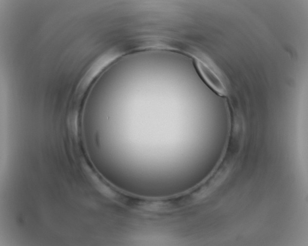 X0000114061293200910191453