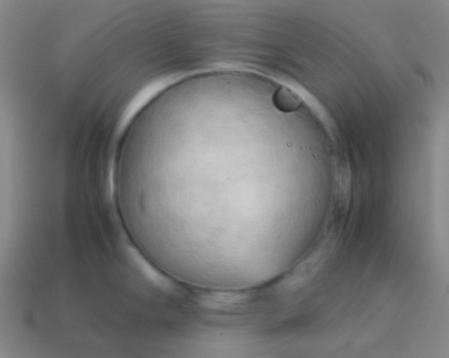 X0000114061294200910191453