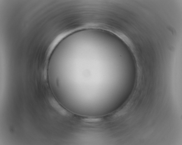 X0000114061296200910191453