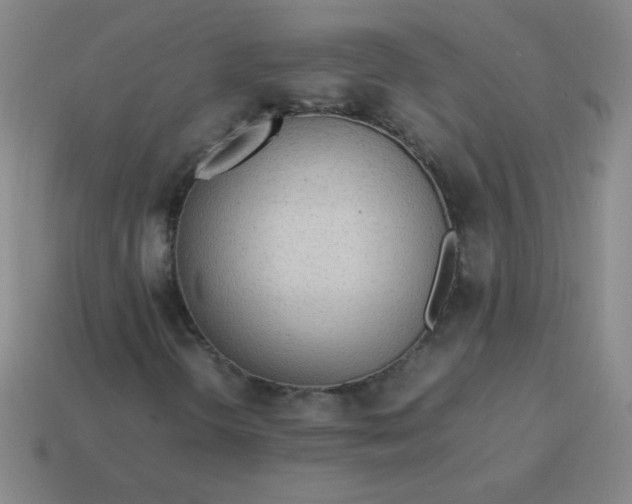 X0000114061298200910191452