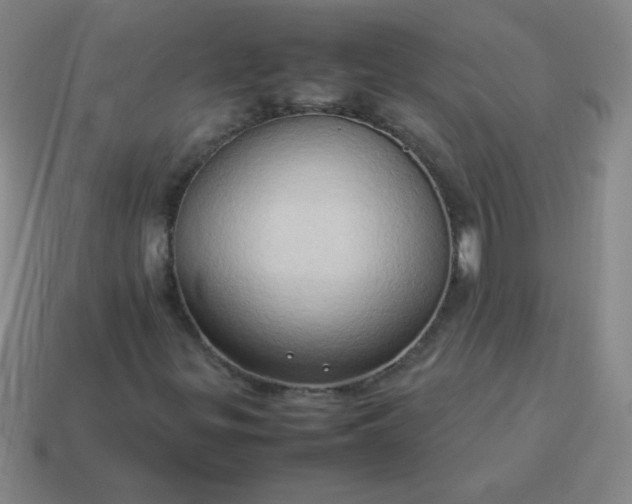 X0000114061299200910191452