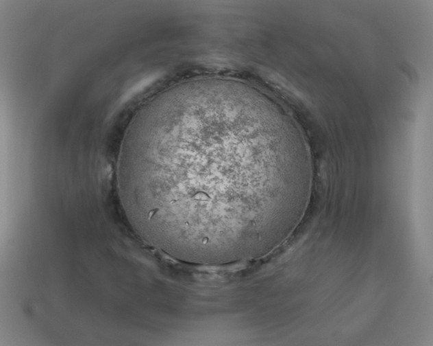 X0000114061302200910191452