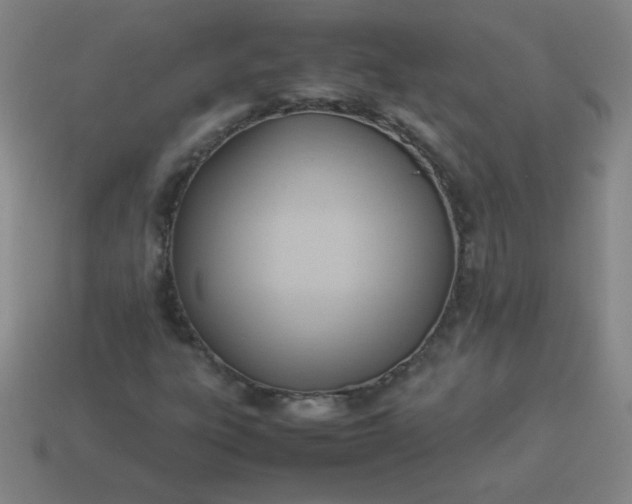 X0000114061303200910191452