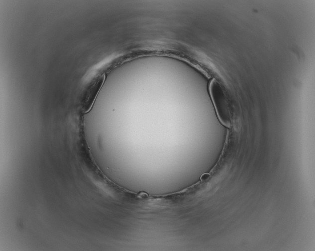 X0000114061304200910191452