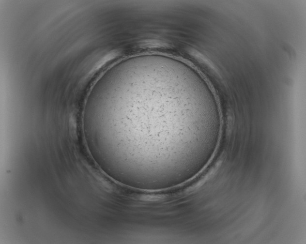 X0000114061305200910191452