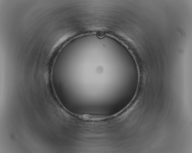 X0000114061306200910191452