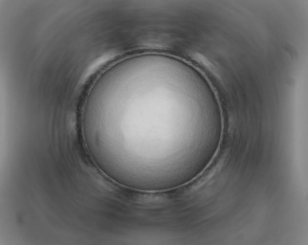 X0000114061307200910191452