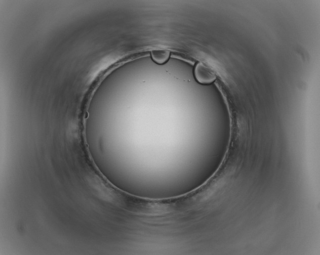 X0000114061308200910191452