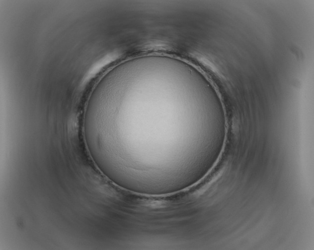 X0000114061309200910191452