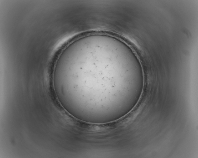 X0000114061311200910191452