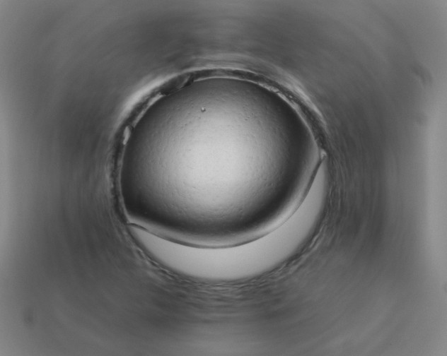 X0000114061312200910191452