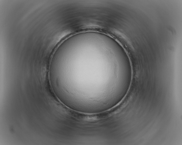 X0000114061313200910191452