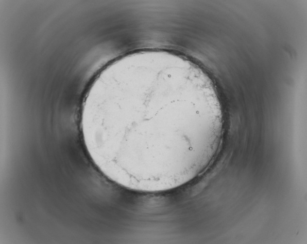 X0000114061314200910191452