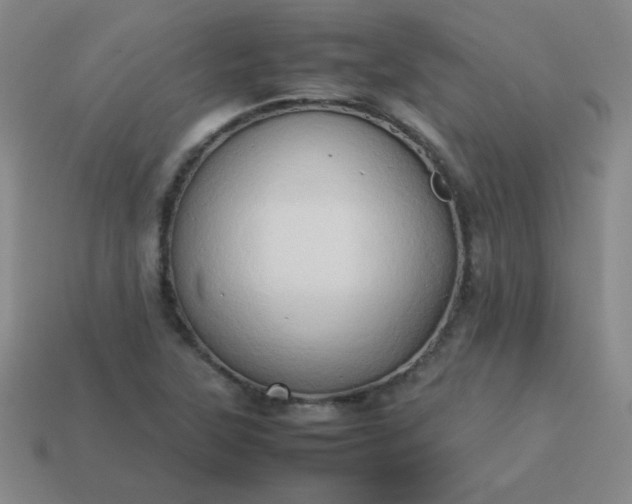 X0000114061315200910191452