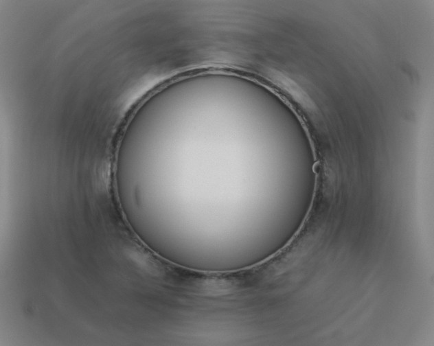 X0000114061316200910191452