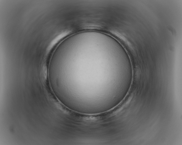 X0000114061317200910191452