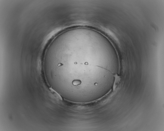 X0000114061318200910191452