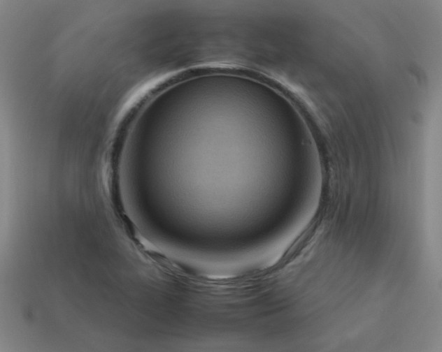 X0000114061319200910191452