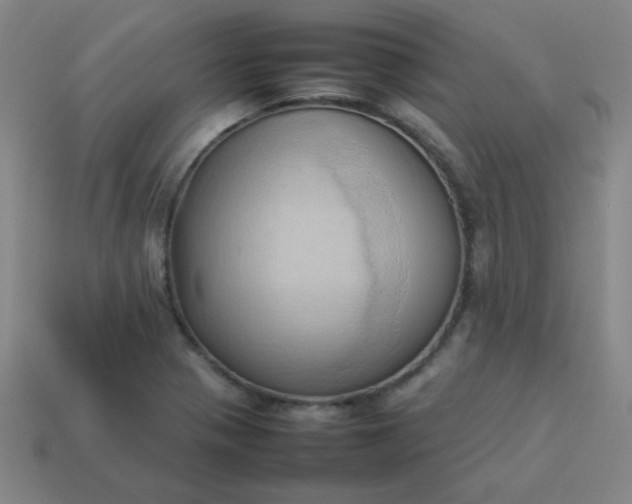 X0000114061321200910191452