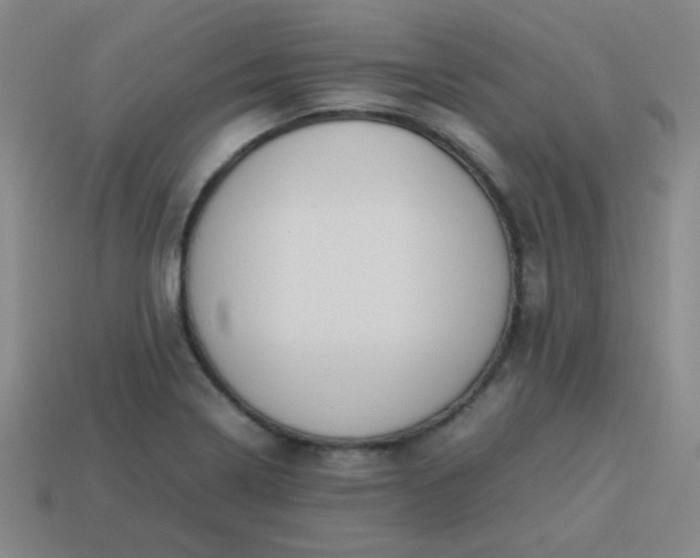 X0000114061322200910191452