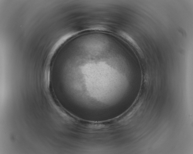 X0000114061323200910191452