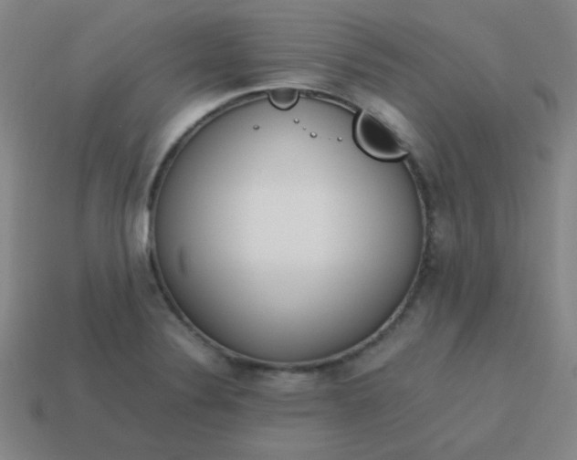 X0000114061324200910191452