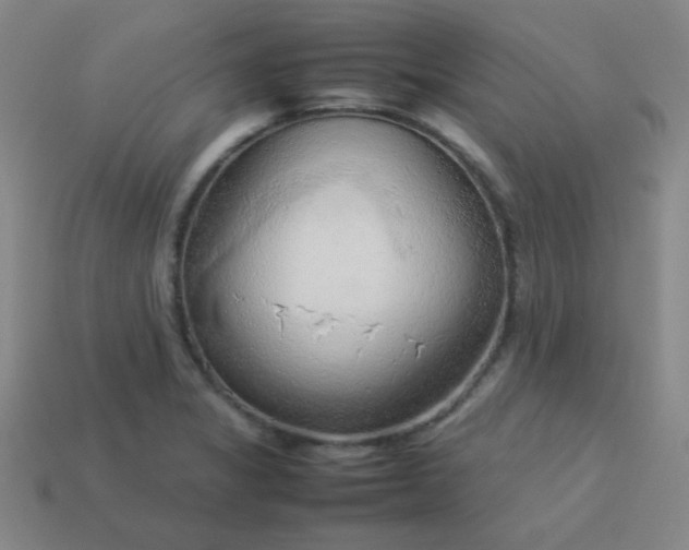 X0000114061325200910191452