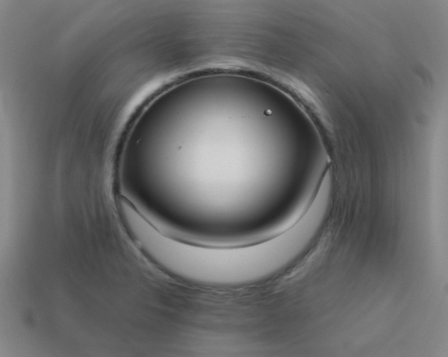 X0000114061326200910191452