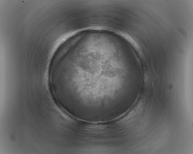 X0000114061327200910191452