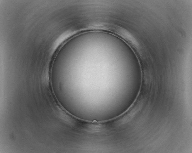 X0000114061328200910191452