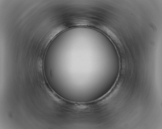 X0000114061329200910191452