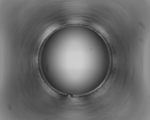 X0000114061330200910191452