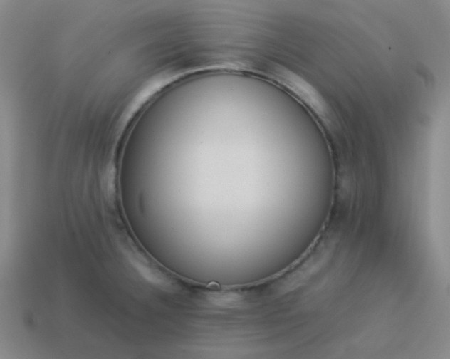 X0000114061332200910191452