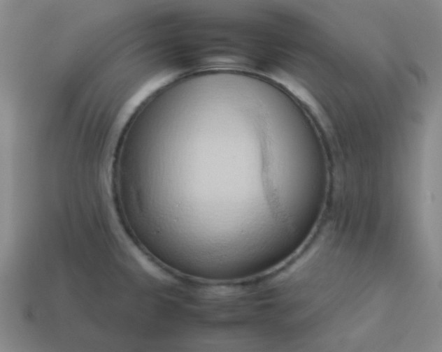 X0000114061333200910191452