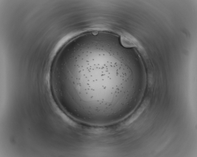 X0000114061334200910191452