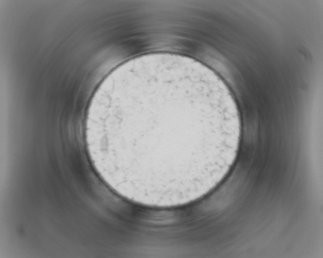 X0000114061338200910191452