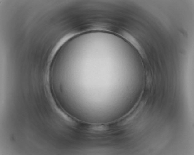 X0000114061339200910191452