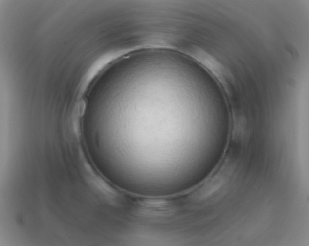 X0000114061342200910191452