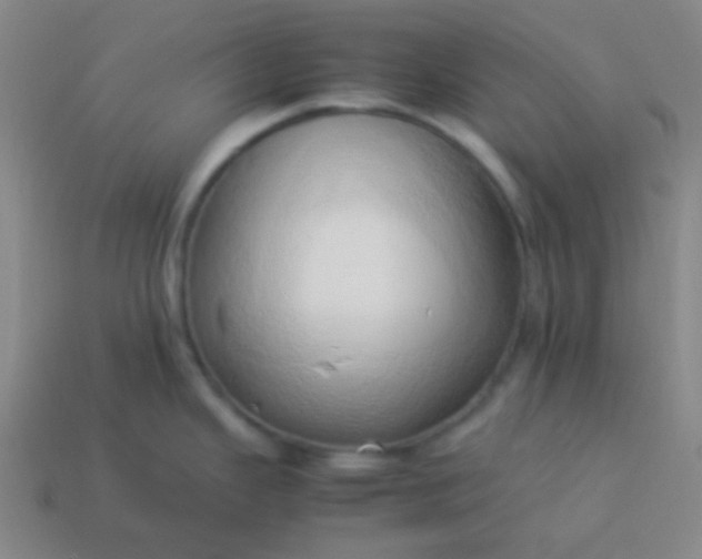 X0000114061343200910191452