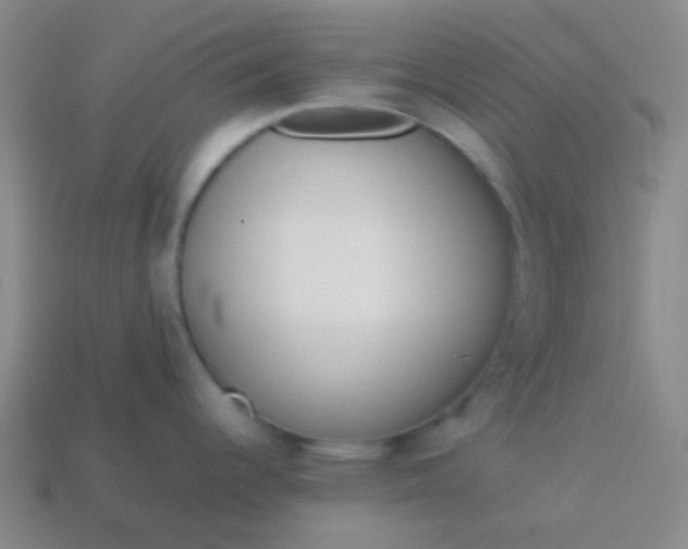 X0000114061344200910191453